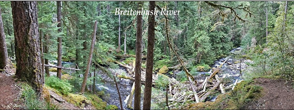 breitenbush river graphic